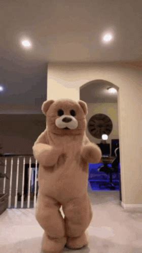 dancing bear sex gif|Party Dancing Bear Gifs .